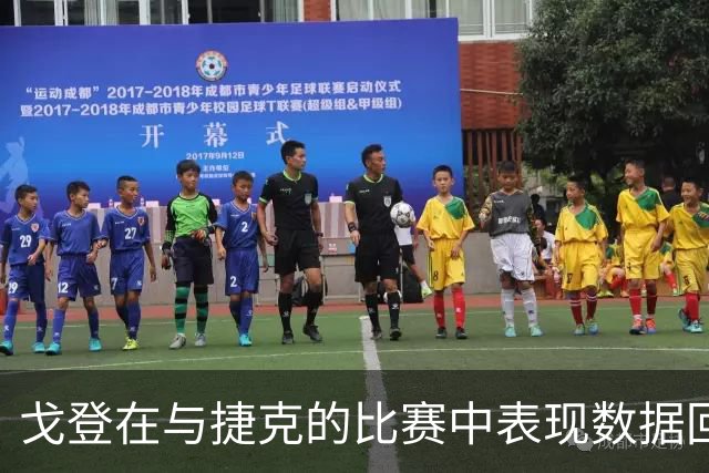 戈登在与捷克的比赛中表现数据回顾